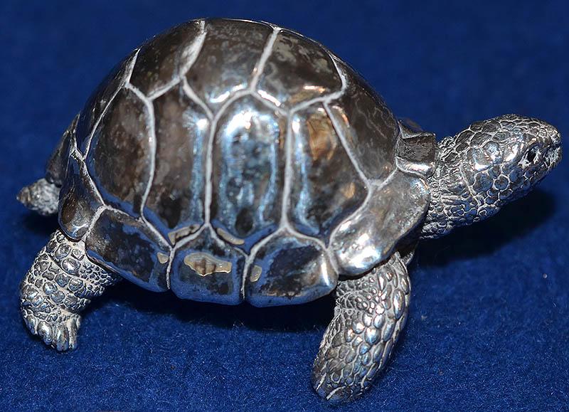 SILVER TORTOISE MODEL.